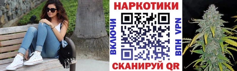 ГАШ Димитровград