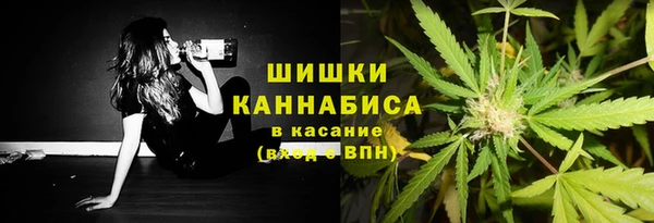 прущие крисы Гусь-Хрустальный