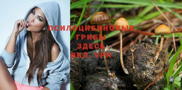 прущие крисы Гусь-Хрустальный